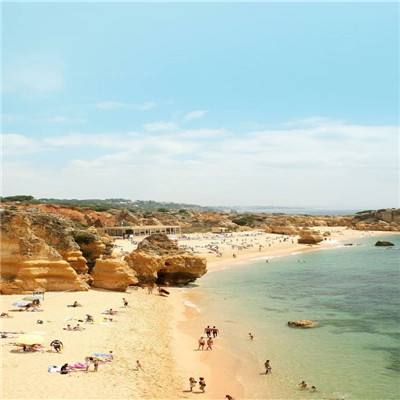 星空体育APPapp下载