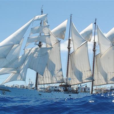 星空体育下载截图